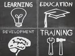 Education: Learning, Not Teaching