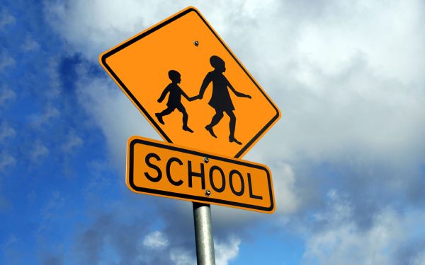 What is a School District?