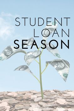 Hunting for Student Loan Options